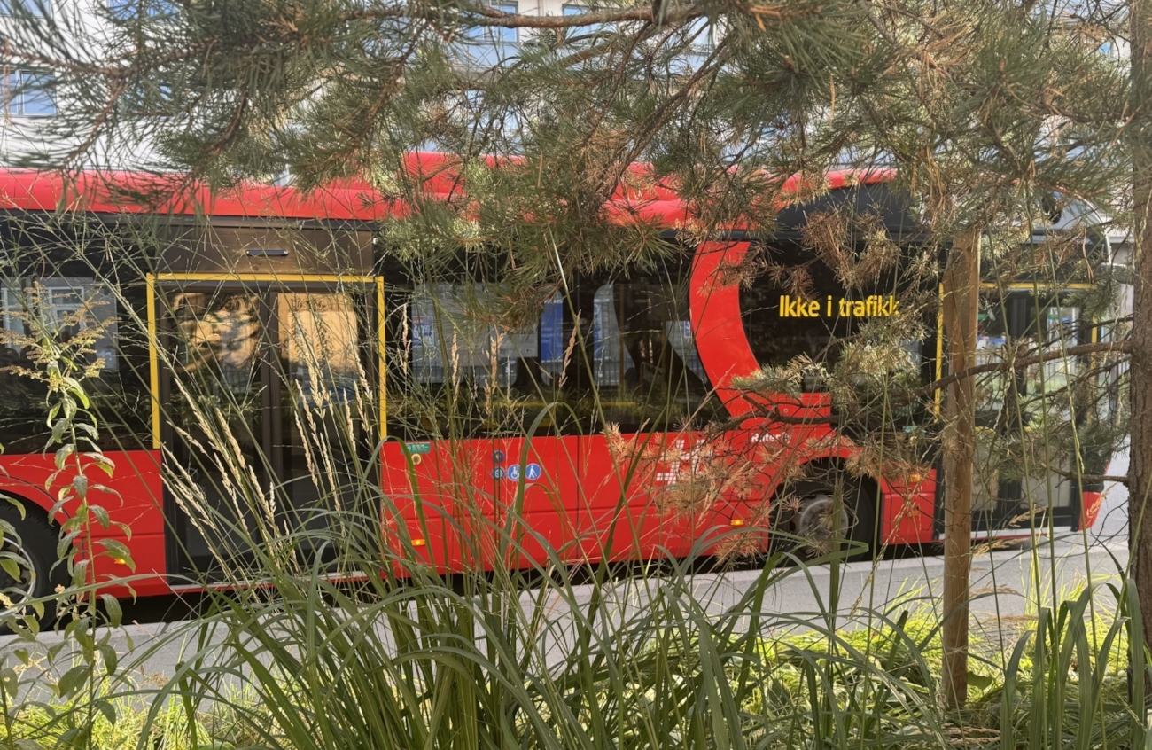 Bildet viser en buss bak noen grener og planter