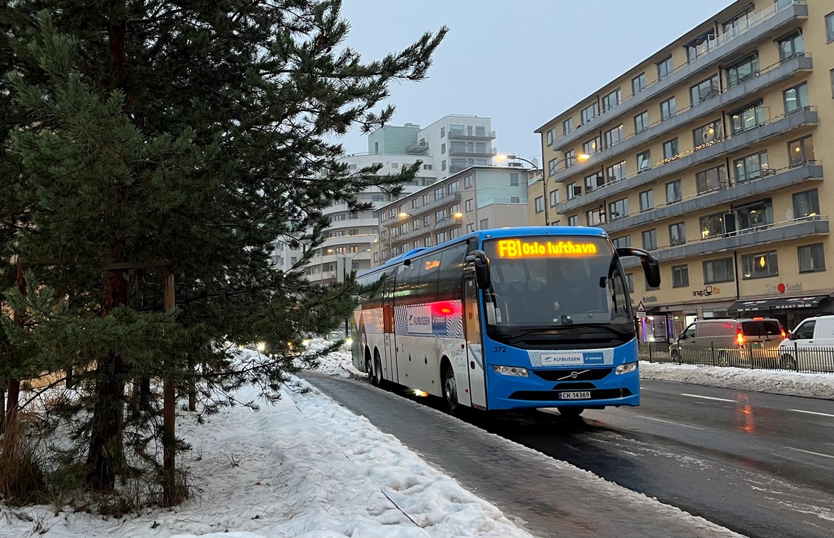 Bildet viser en buss og et tre på vinterføre