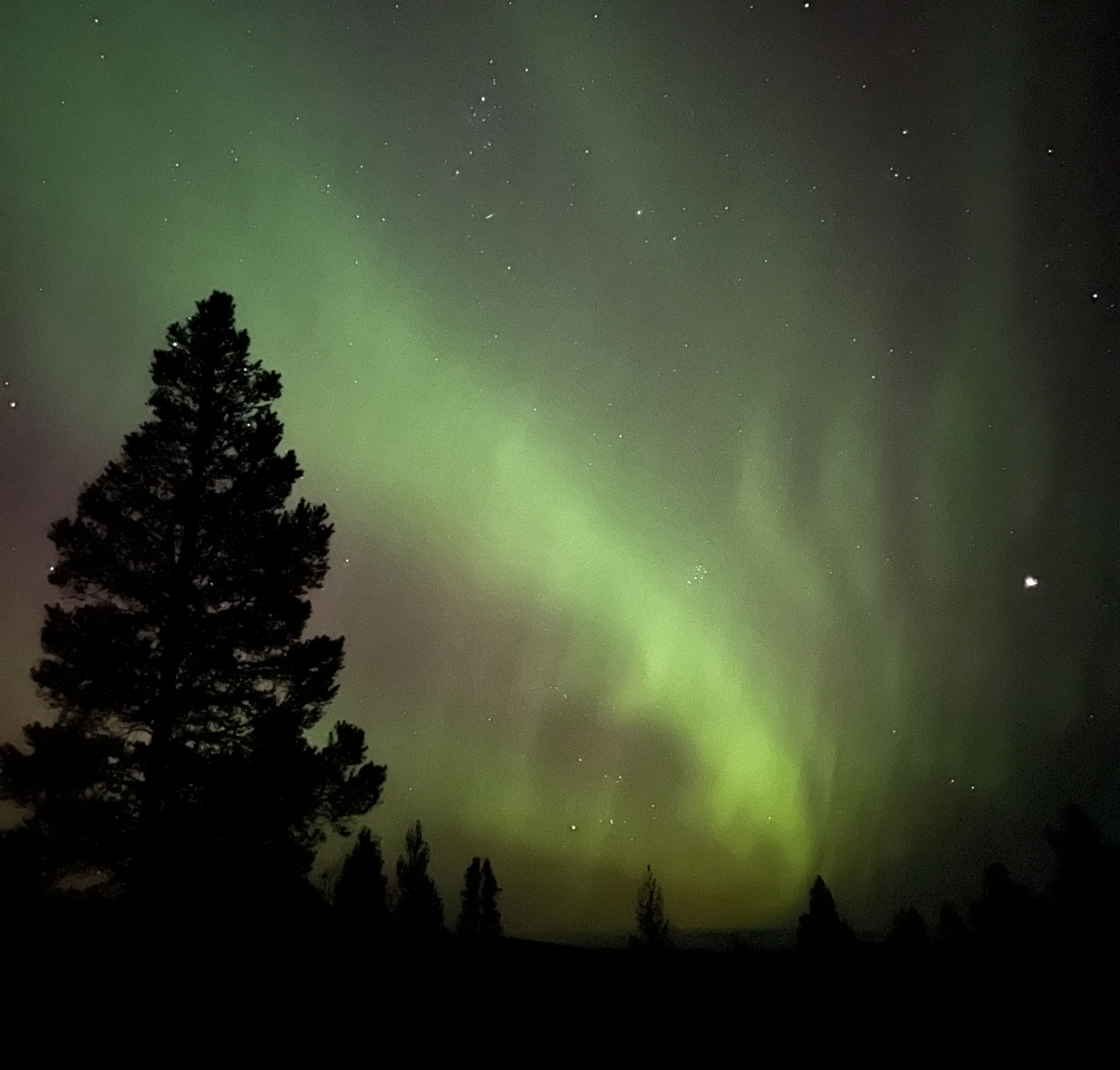 Bildet viser nordlys på himmelen