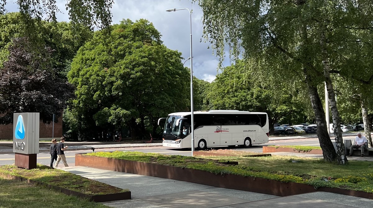 Bildet viser en buss og grønne trær