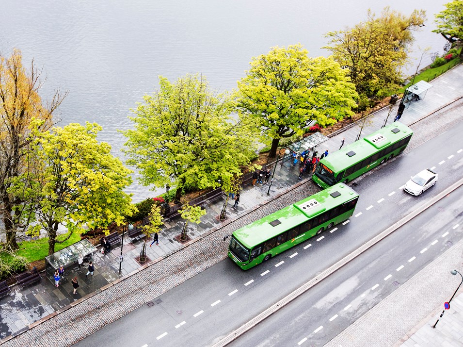 Bilde av grønne busser